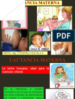 Lactancia Materna 2019 - Ii