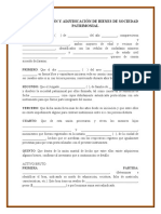 Liquidación y Adjudicación de Bienes de Sociedad Patrimonial 1