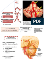 CEREBELO (Autoguardado)