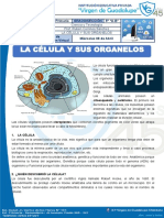 Ciencia Información de Las Celulas