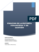 Proceso de Auditoria Financiera y de Gestion