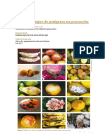 Control Biologico de patogenos en poscosecha-convertido.pdf
