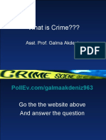 What Is Crime???: Asst. Prof. Galma Akdeniz