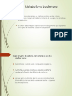 Bacterias 6 PDF