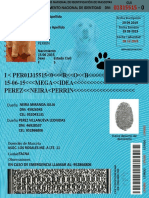 Registro Nacional de Mascotas DNI PERRIN