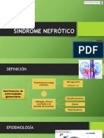 CLASE MAGISTRAL - SINDROME NEFROTICO Y NEFRITICO 2018