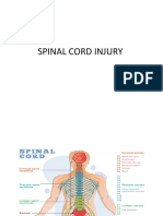 Everything You Need to Know About Spinal Cord Injuries