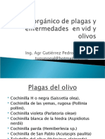 AA-Manejo Organico de Plagas y Enfermedades en Vid y Olivos