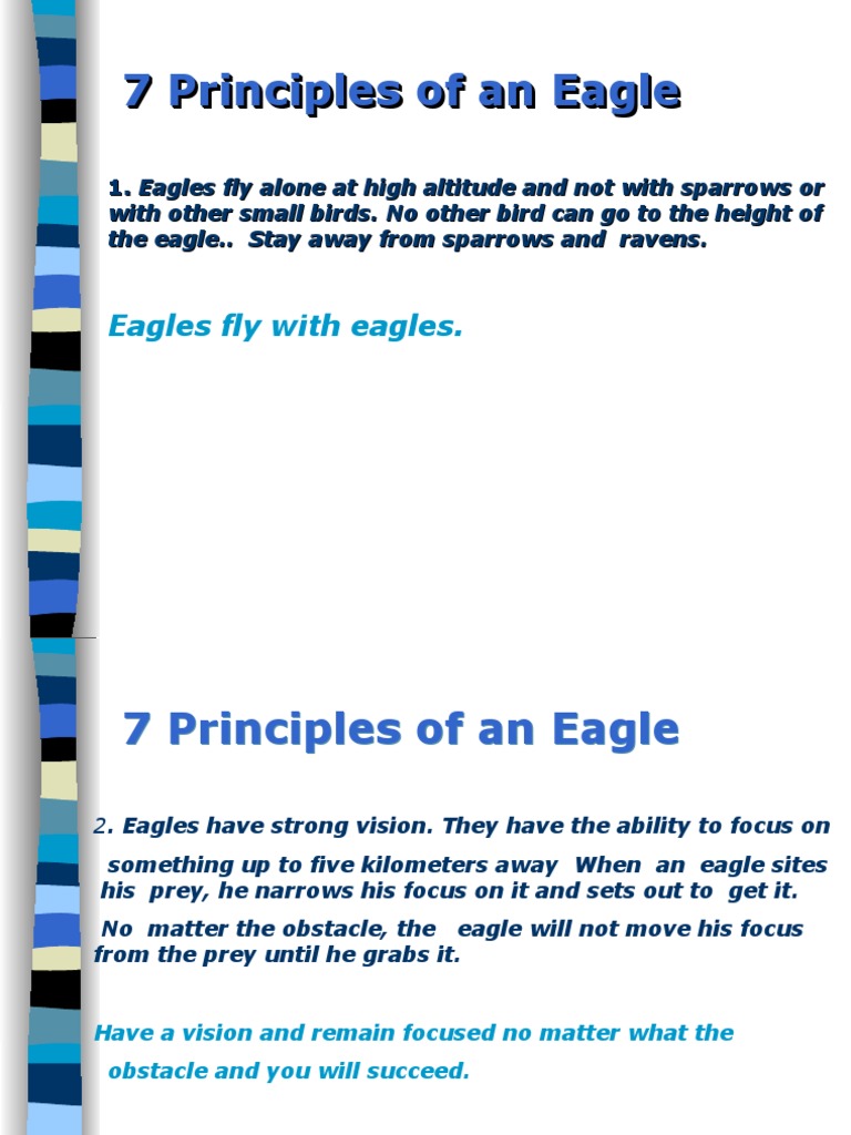 7 Principles o | PDF | Eagle | Birds