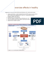 Aging and Exercise Effects in Healthy Elderly