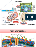 2 Intro Part 2 Cell Membrane