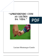 Aprendendo Com As Lições Da Vida - Prof. Luciano Castello - FGV