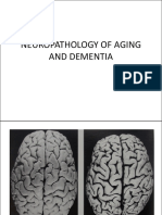 Neuropathology of Aging and Dementia PDF