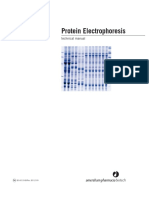 Protein Electrophoresis: Technical Manual