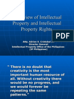 Overview of Intellectual Property and Intellectual Property Rights