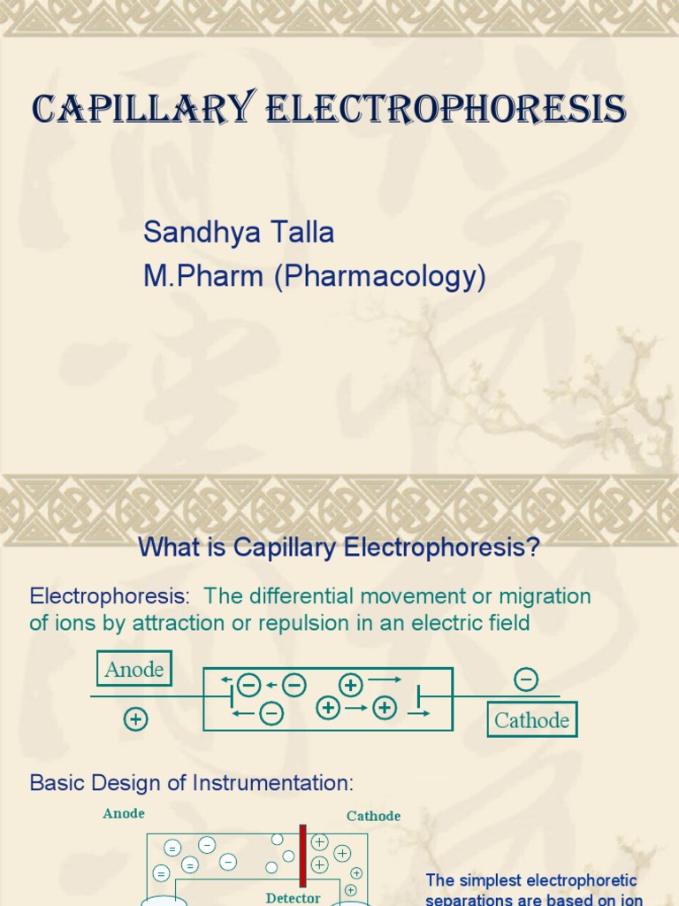 Capillary Electrophoresis Overview | PDF | Gel Electrophoresis ...
