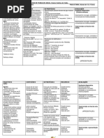 Plano de Trabalho Anual - Adolescentes.pdf