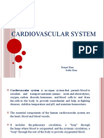 Cardiovascular System: Kurgaš Ema Softić Erna