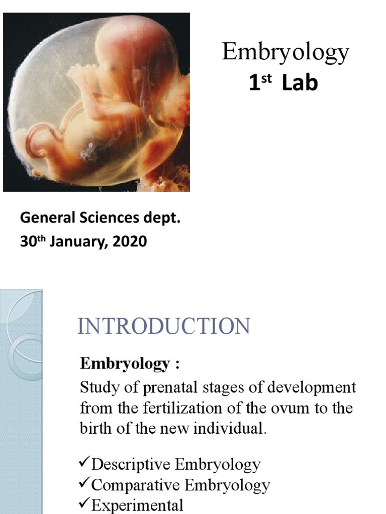 Overview of Embryology and Cell Division | PDF | Meiosis | Mitosis