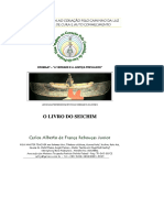 Needoc.net-Carlos Junior Seichim Reiki PDF.pdf