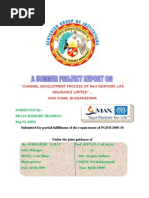 Download CHANNEL DEVELOPMENT PROCESS OF MAX NEWYORK LIFE INSURANCE LIMITED BY BRAJA KISHORE PRADHAN by Braja Kishore Pradhan SN46243748 doc pdf