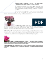 plante-toxice.pdf