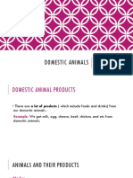 Domestic Animals: Grade 3 English