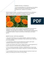 Benefcios Calendula Plantas Medicinales