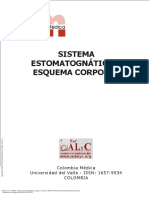 Sistema - Estomatognático - y - Esquema - Corporal - (SISTEMA - ESTOMATOGNÁTICO - Y - ESQUEMA - CORPORAL) 14