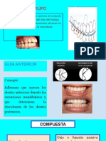 F. en Grupo y G. Anterior