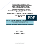 EEIA AE - Cap. X. Consulta Pública - Construcción Sistema Riego El Tranque Grande - Culpina