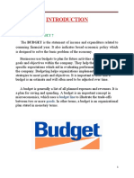 Budget impact on economy