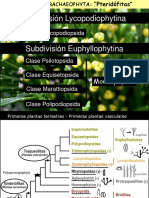 Clase 7 Pteridofitas (Lycopo-Monilofitas) 2019