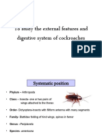 To Study The External Features and Digestive System of Cockroaches