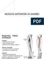 10-MUSCHII ANTERIORI AI GAMBEI.pptx