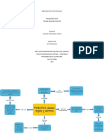 Macroestructura Individual PDF