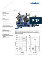 Schlumberger CPS 636.pdf