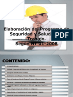 Elaboración Del Programa de Seguridad y Salud en El Trabajo. Según NT 01-2008