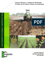 Manual de Malezas y Catálogo de Herbicidas.pdf