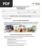 Ficha de trabalho n2Riscos Profissionais