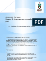 1. Josefina -clasificación y estructura.pptx