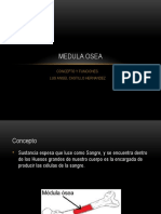 3. Luis MEDULA OSEA.pptx