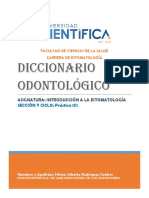 Informe Diccionario Odontologico - Hector Rodriguez Geldres