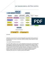 Clasificacion taxonomica de llos seres vivos