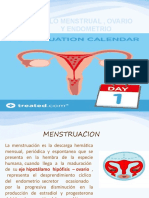 ciclo menstrual