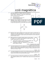 Magnetisme Induccio Magnetica