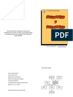 Estructura de La Mision y Formas de La V PDF