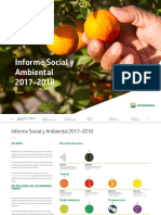 Informe Social 2017 29.01.18 Vs Final