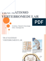 Trauma-Vertebromedular