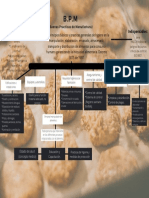 Mapa Conceptual BPM